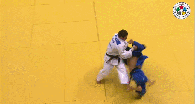 GIFs from the 2013 judo world championships in Rio Denisov-vs-lee