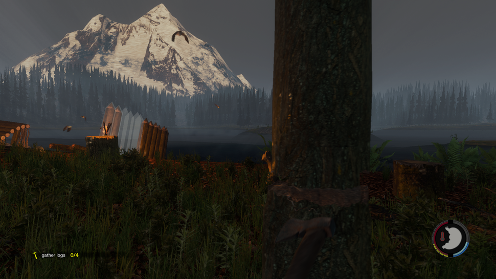 TheForest-2014-05-31-13-47-29-52.bmp