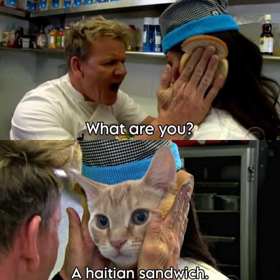 1740683309682773.jpg