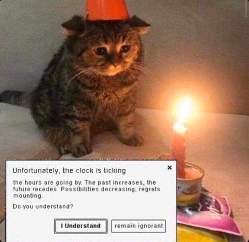 1683830034408928.jpg