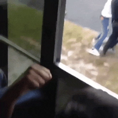 1688044446423280.gif