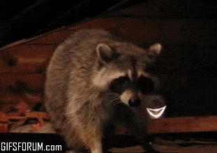 badger_is_discussed_gif.gif