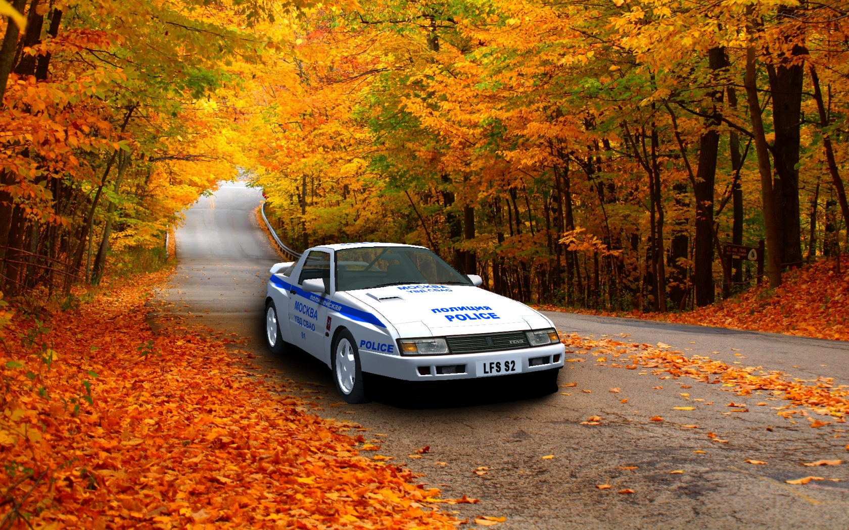 [Image: autumn_leaves_on_the_road.jpg]